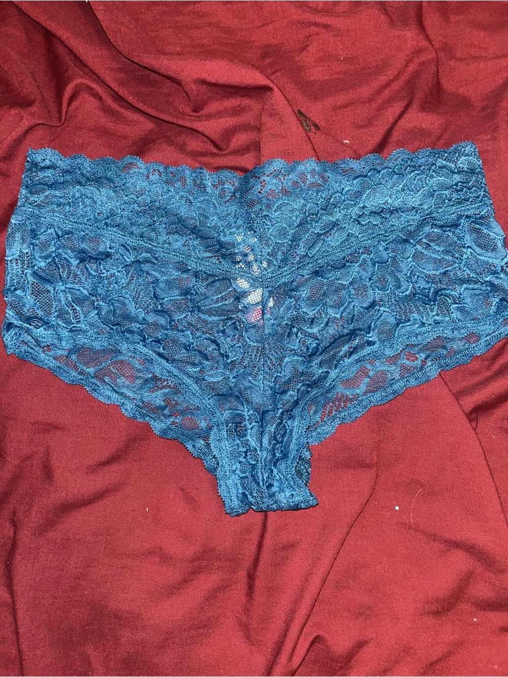 No Boundaries Teal Blue Lace Bikini Briefs